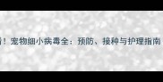 细小疫苗必看宠物细小病毒全预防接种与护理指南家长必读