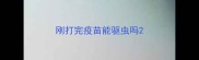 刚打完疫苗能驱虫吗