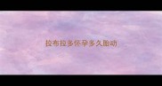 拉布拉多怀孕多久胎动