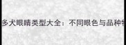 拉布拉多犬眼睛类型大全不同眼色与品种特征全