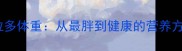 科学管理拉布拉多体重从最胖到健康的营养方案与运动指南
