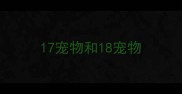 17宠物和18宠物