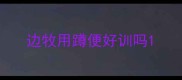 边牧用蹲便好训吗