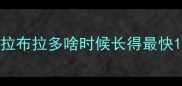 拉布拉多啥时候长得最快