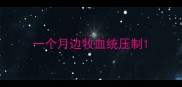 一个月边牧血统压制