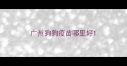 广州狗狗疫苗哪里好