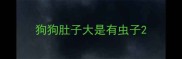 狗狗肚子大是有虫子