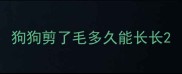 狗狗剪了毛多久能长长