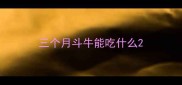 三个月斗牛能吃什么