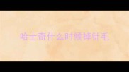 哈士奇什么时候掉针毛