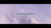 拉布拉多送训练机构培训