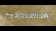 广州狗狗免费打疫苗