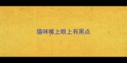 猫咪嘴上眼上有黑点