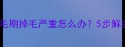 拉布拉多幼犬换毛期掉毛严重怎么办5步解决皮毛护理难题