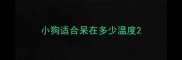 小狗适合呆在多少温度
