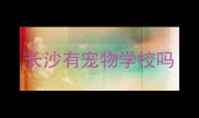 长沙有宠物学校吗
