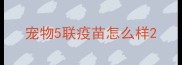 宠物5联疫苗怎么样