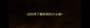 边牧得了糖尿病吃什么粮