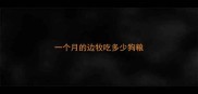 一个月的边牧吃多少狗粮