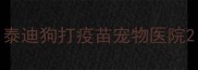 泰迪狗打疫苗宠物医院
