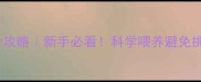 哈士奇喂食量全攻略新手必看科学喂养避免挑食暴食干货分享