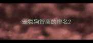 宠物狗智商的排名