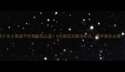 两个月大泰迪不吃狗粮怎么办5大原因及解决方法新手家长必看