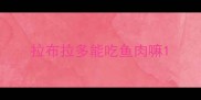 拉布拉多能吃鱼肉嘛