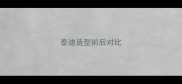 泰迪造型前后对比