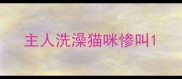 主人洗澡猫咪惨叫