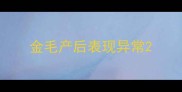 金毛产后表现异常