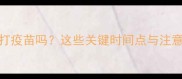 小狗掉毛期能打疫苗吗这些关键时间点与注意事项请收好