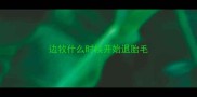 边牧什么时候开始退胎毛
