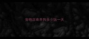 宠物店寄养狗多少钱一天