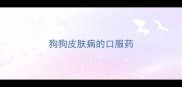 狗狗皮肤病的口服药