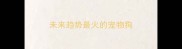未来趋势最火的宠物狗