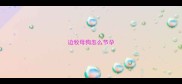 边牧母狗怎么节孕