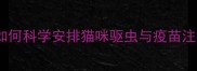 科学养护指南如何科学安排猫咪驱虫与疫苗注射5大核心要点