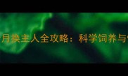 边境牧羊犬7个月换主人全攻略科学饲养与情感过渡指南