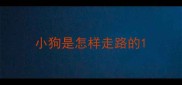小狗是怎样走路的