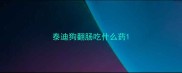 泰迪狗翻肠吃什么药