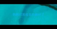 狗狗打完疫苗拉稀好了
