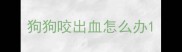 狗狗咬出血怎么办