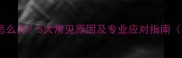 狗狗耳朵冰凉怎么办5大常见原因及专业应对指南附护理技巧