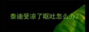 泰迪受凉了呕吐怎么办