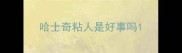 哈士奇粘人是好事吗