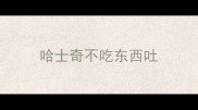 哈士奇不吃东西吐
