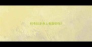 拉布拉多身上有臭味吗