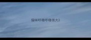 猫咪呼噜呼噜很大