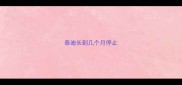 泰迪长到几个月停止